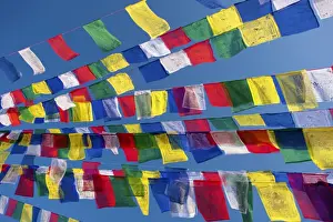 Flag Prints: Colourful prayer flags against clear blue sky at Bodhnath Stupa (Boudhanth) (Boudha)