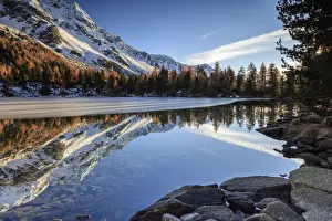 Autumnal Scene Prints: Colourful woods are reflected in Saoseo Lake still partially frozen, Poschiavo Valley
