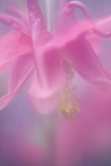 Images Dated 2004: May Collection