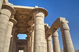 Column reliefs, Hypostyle Hall, The Ramesseum (Mortuary Temple of Ramese II), Luxor