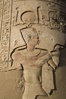 Images Dated 25th February 2007: Detail of a column in the temple of Kom Ombo, Egypt, North Africa, Africa