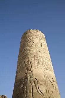 A column in the temple of Kom Ombo, Egypt, North Africa, Africa