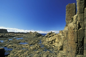 Images Dated 30th January 2009: Columnar structures, created during cooling of basalt lava, near Bombo Beach