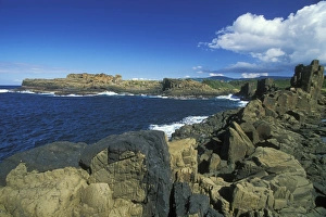 Images Dated 30th January 2009: Columnar structures, created during cooling of basalt lava, with an intrusion or dyke of darker