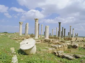 Columns of the 7th / 8th century Byzantine basilica at ancient Abila