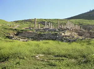 Columns of Byzantine Civic Centre Church dating from around 400 AD, built over earlier Roman civic centre, Pella, Jordan Valley, Jordan
