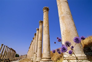 Crumbling Prints: Columns of the Cardo
