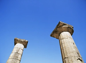 Olympia Prints: Columns of the Temple of Zeus
