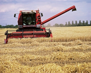 Equipment Prints: Combine harvester in field, Nottinghamshire, England, United Kingdom, Europe