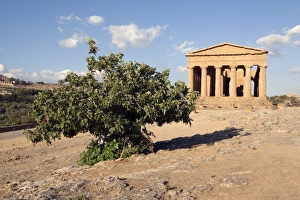 Bush Prints: The Concordia Temple, Valley of the Temples