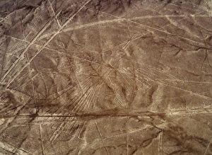Nazca Prints: The Condor Geoglyph, aerial view, Nazca, UNESCO World Heritage Site, Ica Region, Peru