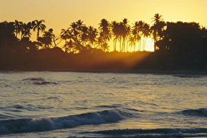 Sun Beam Prints: Confresi Beach, Dominican Republic, Caribbean, West Indies