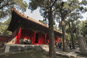 Cemetery Prints: Confucius Forest and Cemetery, Qufu, UNESCO World Heritage Site, Shandong province