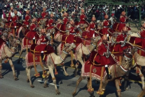 Camels Prints: Contingent Parades, Republic Day, Delhi, India, Asia