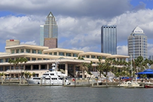 Tampa Prints: Convention Center, Tampa, Florida, United States of America, North America