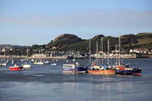 Moorings Prints: Conwy Bay, River Estuary, Harbor, Conwy, North Wales, Wales, United Kingdom, Europe