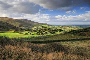 Natural Landmark Prints: Cooley Mountains, County Louth, Leinster, Republic of Ireland, Europe