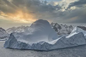 Cooper Bay, Floating Icebergs, South Georgia, South Georgia and the Sandwich Islands
