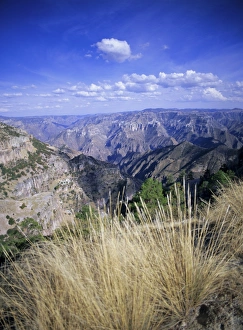 Chihuahua Prints: Copper Canyon