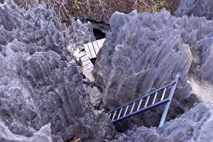 Images Dated 17th August 2007: Coral formations, Tsingy de Bemaraha, UNESCO World Heritage Site, Madagascar, Africa
