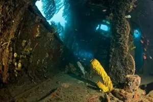 Images Dated 6th March 2008: Coral growth inside the wreck of the Lesleen M freighter, sunk as an artificial reef in 1985 in Anse Cochon Bay
