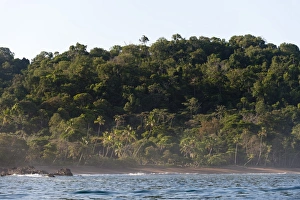 Corcovado National Park, Osa Peninsula, Costa Rica, Central America