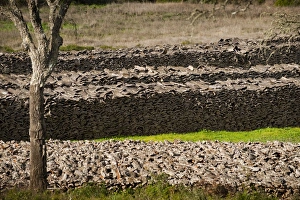 Cork drying, Chefchaouen, Morocco, North Africa, Africa