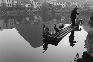 Fisherman Prints: Cormorant fisherman, Yangshuo, Guangxi Province, China, Asia