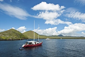 Images Dated 15th April 2010: Cormorant Point, Isla Santa Maria (Floreana Island), Galapagos Islands