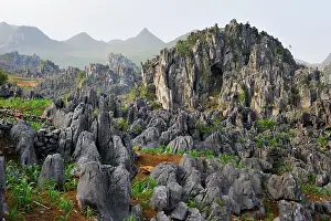 Sustainability Prints: Corn farming takes place among rocks in Dong Van, Ha Giang province of Northern Vietnam