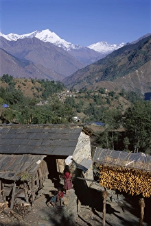Nepalese Prints: Corn hanging to dry outside village house