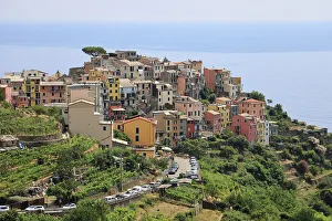 Liguria Prints: Corniglia, one of the five towns of the Cinque Terre National Park