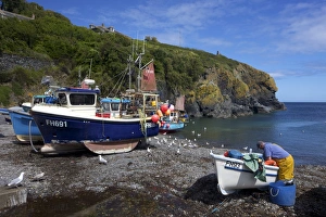 Fisherman Prints: Cornish fisherman on beach at Cadgwith, Lizard Peninsula, Cornwall, England