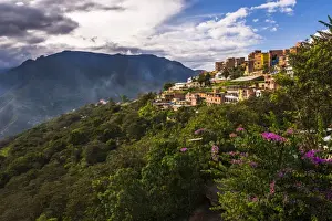 Bolivia Prints: Coroico, La Paz Department, Bolivia, South America