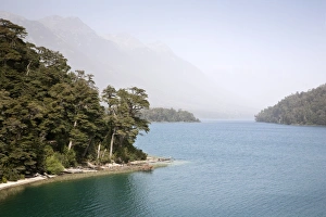 Lakeshore Prints: Correntoso Lake along the Seven Lakes route, Patagonia, Argentina, South America