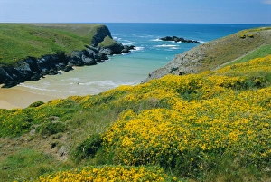 Brittany Prints: Cote de Port Kerledan, Belle-Ile-en-Mer, Breton Islands, Morbihan, Brittany, France