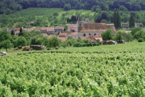 Lorraine Prints: Cotes de Toul vineyards, village of Lucey, Meurthe-et-Moselle, Lorraine, France, Europe
