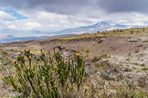 Cotopaxi National Park, a large forested area known for the active, snow-capped Cotopaxi volcano