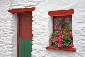 Images Dated 29th July 2006: Cottage, Dingle Town, Dingle Peninsula, County Kerry, Munster, Republic of Ireland