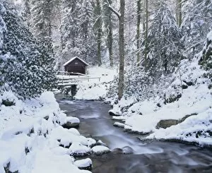 Images Dated 20th January 2010: Cottage in a forest in winter, near Geroldsau Waterfall, Black Forest, Baden Wurttemberg, Germany