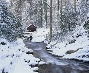Log Cabin Prints: Cottage in a forest in winter, near Geroldsau Waterfall