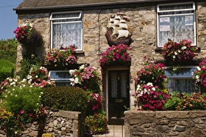 Hanging Baskets Prints: Cottage garden, Marazion, Cornwall, England, United Kingdom, Europe
