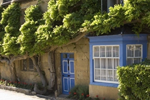 Cotswold Prints: Cottage in the main street of the village, Broadway, The Cotswolds, Gloucestershire