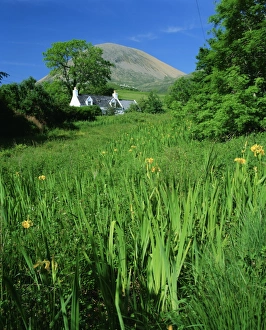 Cottage and Red Cuillins at Torrin