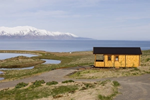 Cottages Prints: Cottage, Skjalfandi bay, Husavik, Iceland, Polar Regions