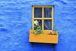 County Cork Prints: Cottage window, Kinsale Town, County Cork, Munster, Republic of Ireland, Europe