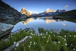 Sublime Prints: Cotton grass frames the Matterhorn reflected in Lake Stellisee at dawn