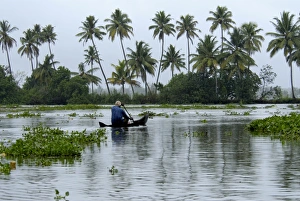 Canoeing Prints: Country boat in Vembanadu Lake, Kumarakom, Kerala, India, Asia