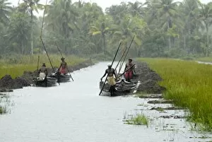 Country boats, Murinjapuzha, near Vaikom, Kerala, India, Asia