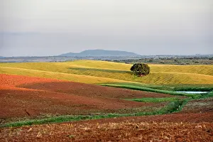 Alentejo Prints: Country landscape features flat fields